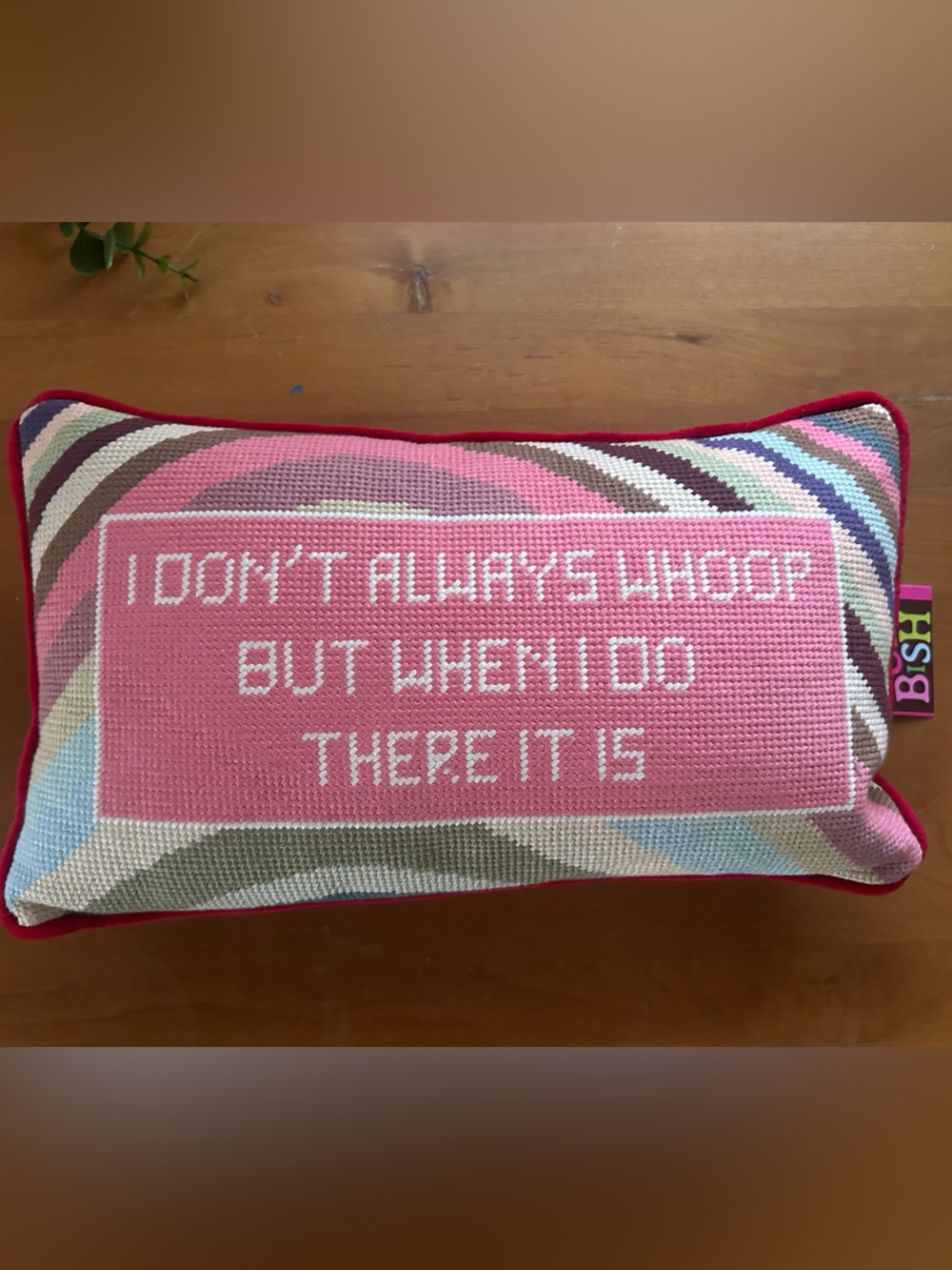 FURBISH Whoop There It Is Needlepoint Decorative Pillow NWT